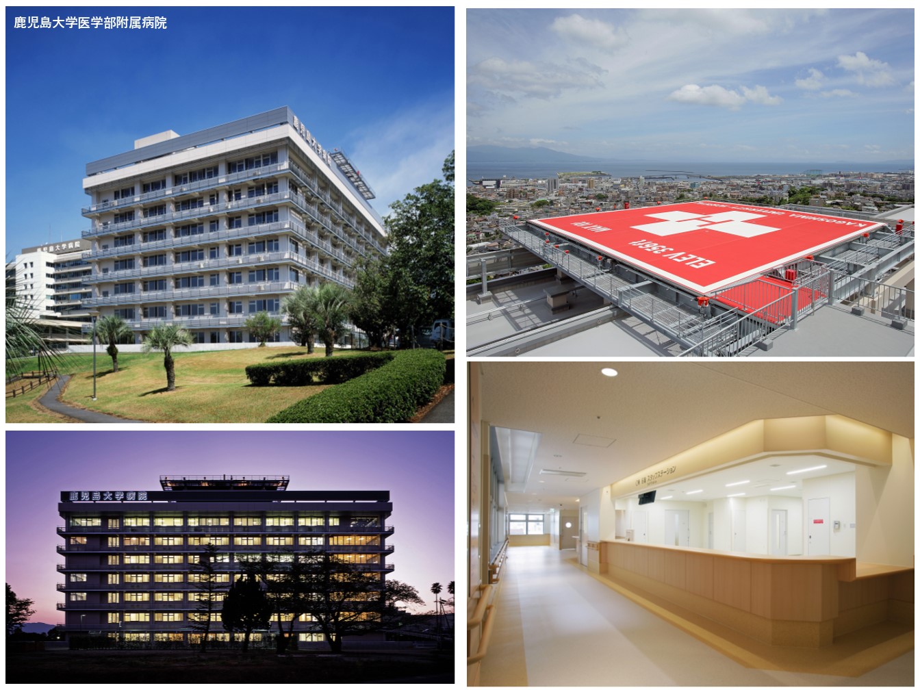 プロジェクト画像