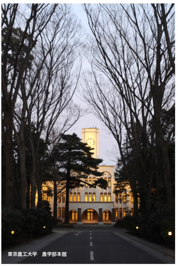 プロジェクト画像