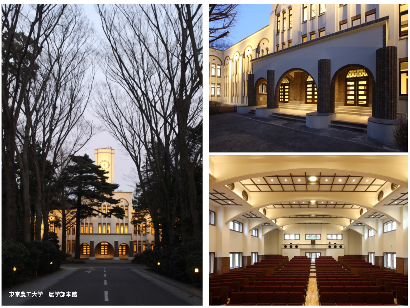 プロジェクト画像