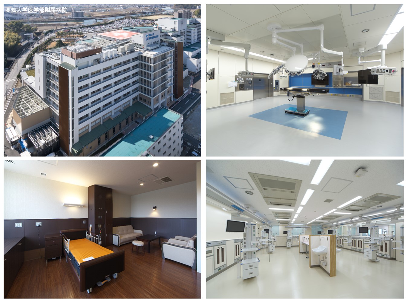 プロジェクト画像